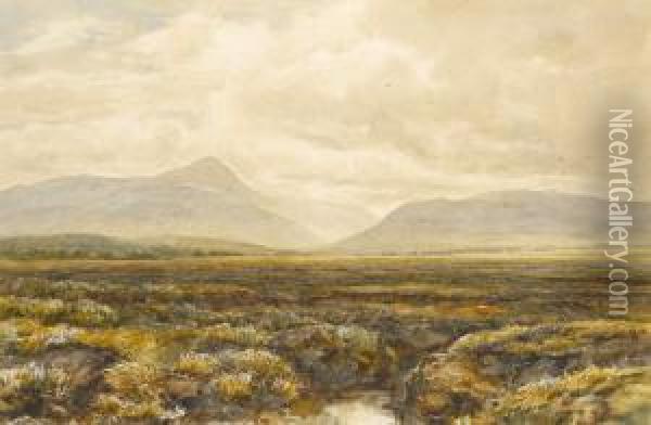 Cardross Moss Dunbartonshire Oil Painting - James Orrock