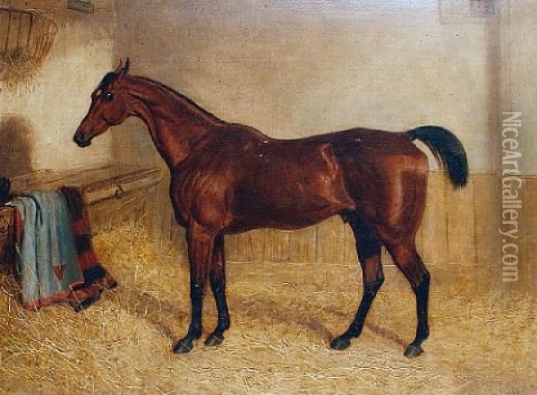 Sickle, A Favourite Hunter In A Box (+ A Black Thoroughbred; 2 Works) Oil Painting - Edward Walter Webb