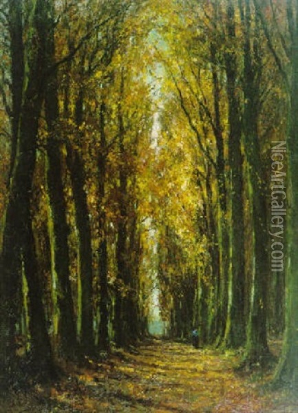 Beukendreef Met Wandelaar In De Herfst Oil Painting - Pieter Gorus