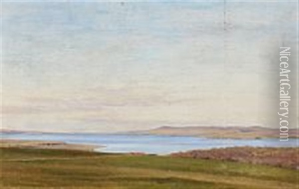 Landscape At A Fiord Oil Painting - Janus la Cour