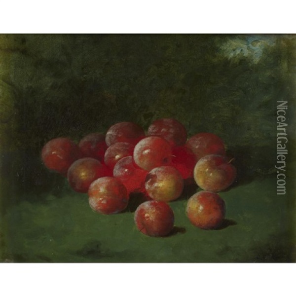 Still Life With Apples Oil Painting - Carducius Plantagenet Ream
