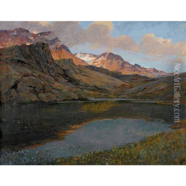 Laghetto Alpino Oil Painting - Gioacchino Galbusera