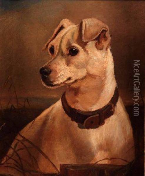 A Jack Russell Dog In A Landscape Oil Painting - John Sargent Noble