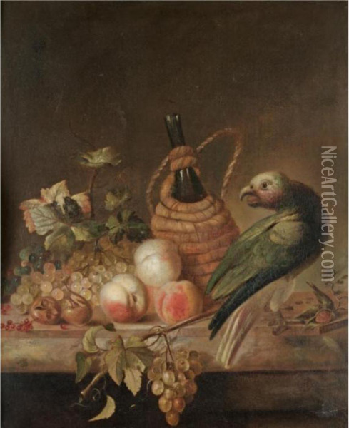 A Still Life With A Parrot, 
Together With A Flagon Of Wine, A Bunch Of Grapes, Peaches, Red Currents
 On A Marble Ledge Oil Painting - Barend or Bernardus van der Meer