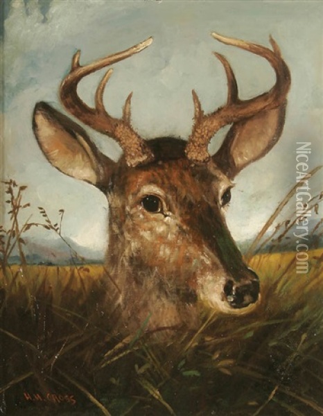 Deer In Tall Grass Oil Painting - Henry H. Cross