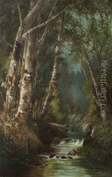 Birches And Mountain Stream Oil Painting - Julie Hart Beers