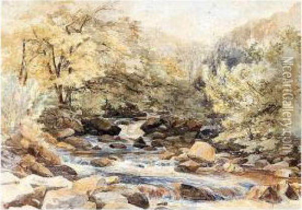 A River In A Woodland Oil Painting - Paul Jacob Naftel