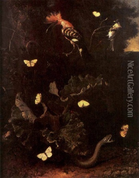 A Nocturnal Sitll Life With A Snake, Butterflies And A Hoopoe Oil Painting - Otto Marseus van Schrieck