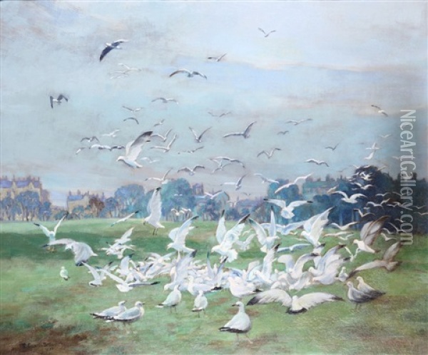 Seagulls In A Landscape Oil Painting - Robert Easton Stuart