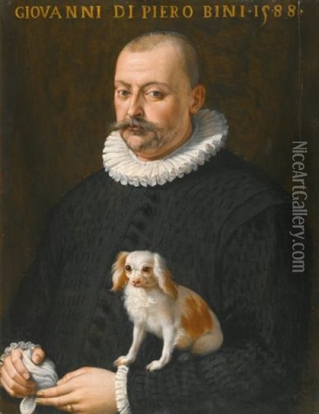 Portrait Of Giovanni Di Piero Bini, Half Length, Wearing A Black Doublet And Holding A Dog Oil Painting - Giovanni Maria Butteri
