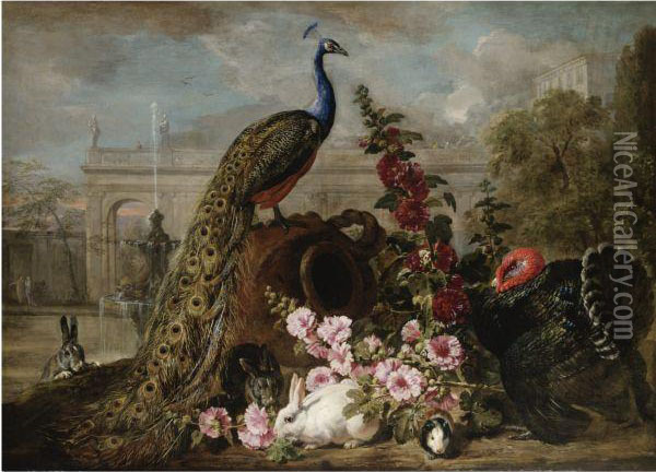Natura Morta Con Pavone, Coniglio E Tacchino Oil Painting - David de Coninck