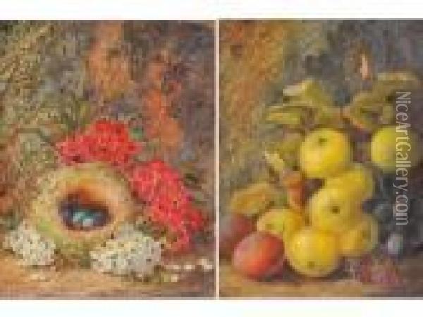 Natura Morta Di Frutta - Natura Morta Di Fiori Con Nido Oil Painting - Vincent Clare