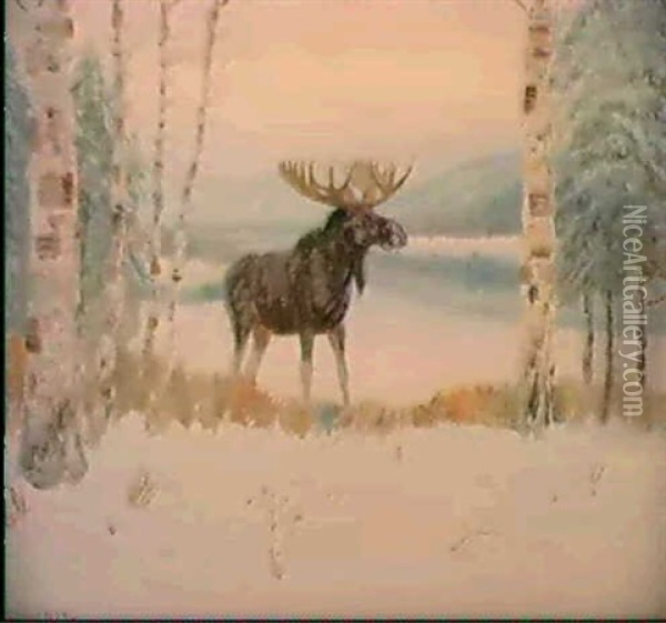 Moose In Winter Oil Painting - Edwin Willard Deming