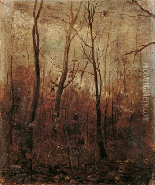 Waldstudie. Im Webicht Bei Weimar Oil Painting - Karl Buchholz