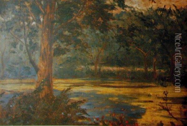 Pejzaz Z Drzewami I Stawem Oil Painting - Wincenty Wodzinowski