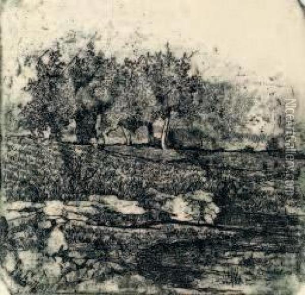 Paesaggio Con Alberi Oil Painting - Giovanni Fattori