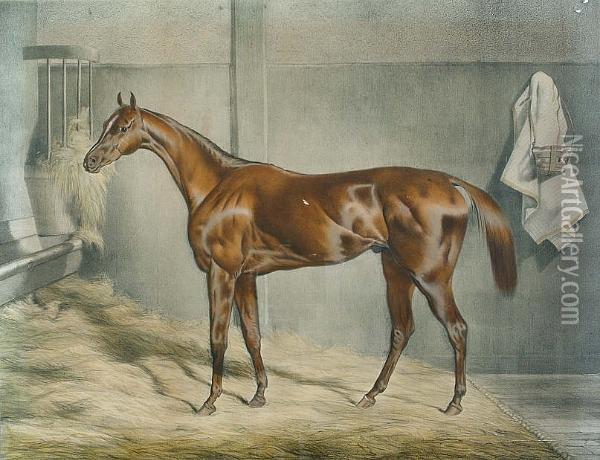 Sultan, Winner Of The Cambridgeshire Stakes At Newmarket Oil Painting - Thomas Barrett