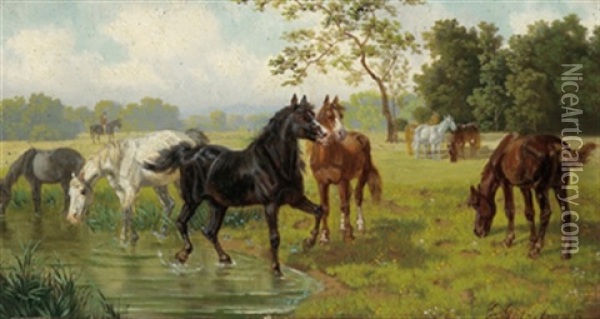 Pferde An Einem Weiher Oil Painting - Eduard Goetzelmann