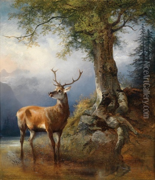 Hirsch Am Gosausee Im Hintergrund Der Dachstein Oil Painting - Friedrich Gauermann