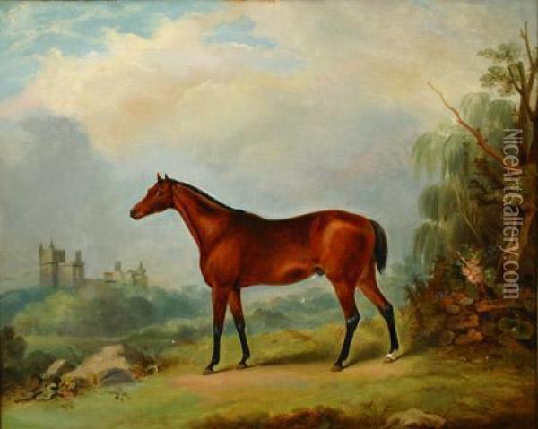 Bay Racehorse In A Landscape Oil Painting - J.A. Mitchell