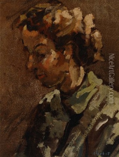 Portrait Of A Lady Oil Painting - Hendrik Chabot