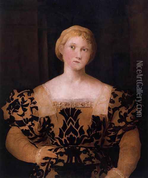 Portrait of Paola Priuli Oil Painting - Palma Vecchio (Jacopo Negretti)