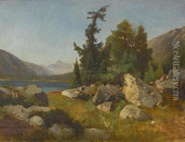 Sommerlicher Bergsee Mit Bauer Oil Painting - Friedrich Zimmermann