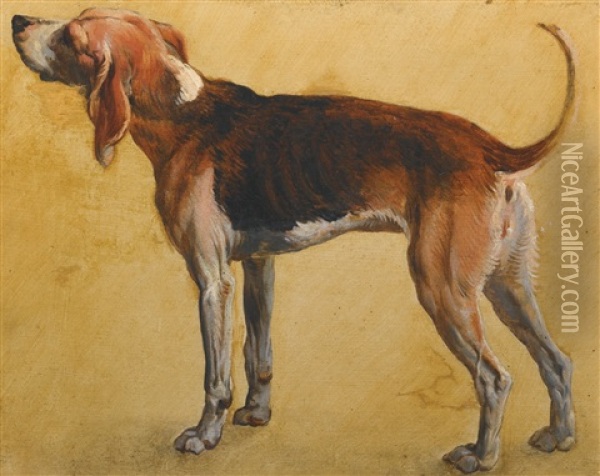 Study Of Rougeaude, A Beagle Belonging To Louix Xiv Oil Painting - Alexandre Francois Desportes