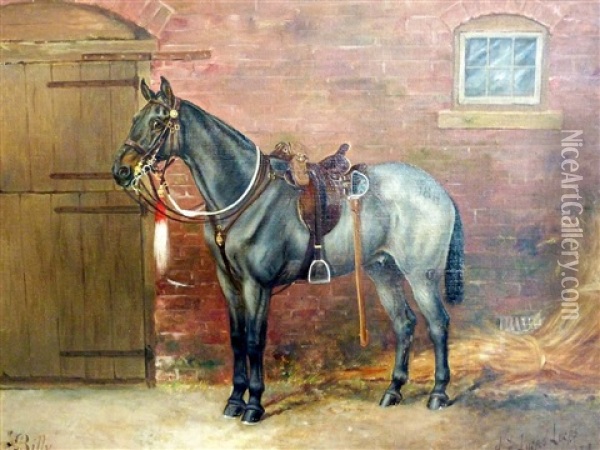 Billy-a Ladysmith Veteran Oil Painting - Henry Frederick Lucas Lucas
