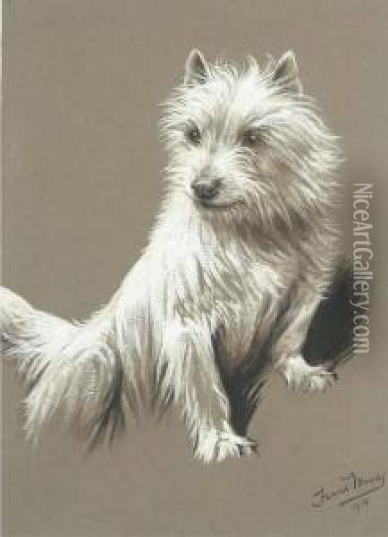 A Cairn Terrier Oil Painting - Fannie Moody