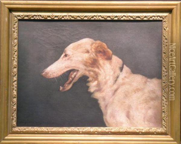 Sight Hound Oil Painting - George Otis Irish