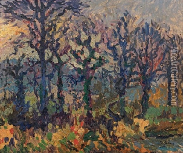 Soleil D'hiver Sur Les Grands Arbres Oil Painting - Paul Elie Gernez