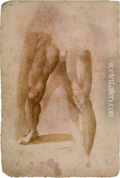 Mannlichebeinstudie Oil Painting - Domenico Beccafumi