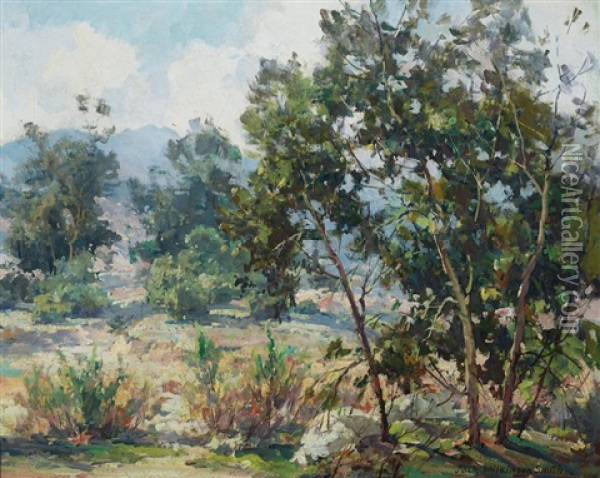 A Southern California Landscape Oil Painting - Jack Wilkinson Smith