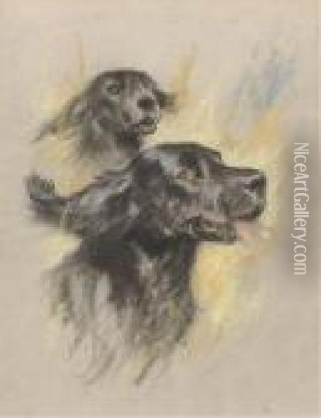 Two Cocker Spaniels Oil Painting - Arthur Wardle