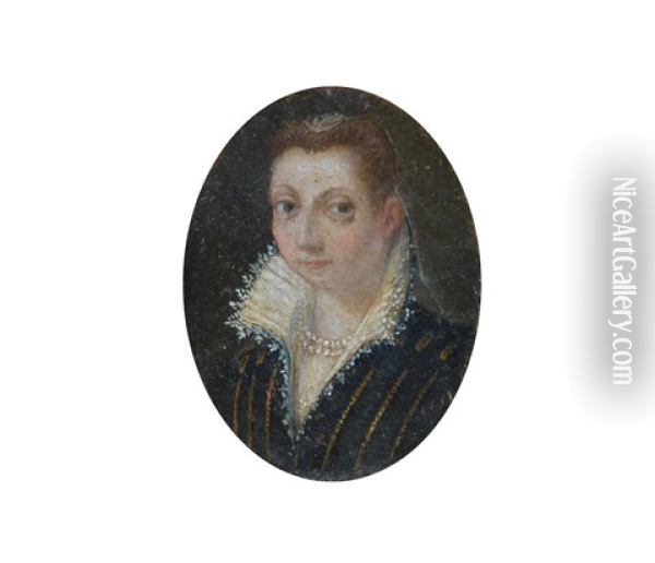 Portrait Of A Lady, In Black Costume, With A White Lace-trimmed Collar And A Pearl Necklace Oil Painting - Sofonisba Anguissola