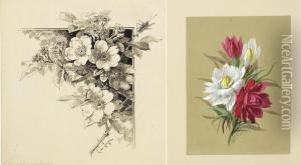 Study Of Roses. Signed Lower Left M. De Longpre Oil Painting - Raoul Maucherat de Longpre