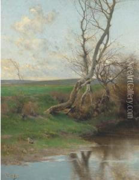 Birch Treees On The Riverbank Oil Painting - Emilio Sanchez-Perrier