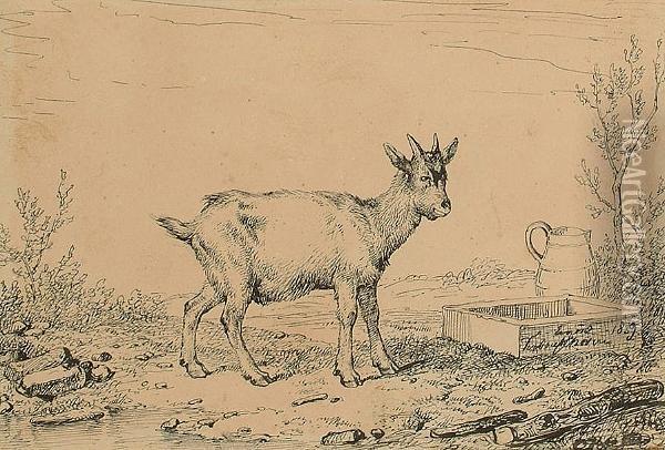 A Goat; And A Donkey Oil Painting - Eugene Joseph Verboeckhoven