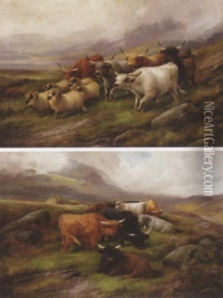 Highland Cattle (#) Highland Cattle And Sheep Oil Painting - John Morris