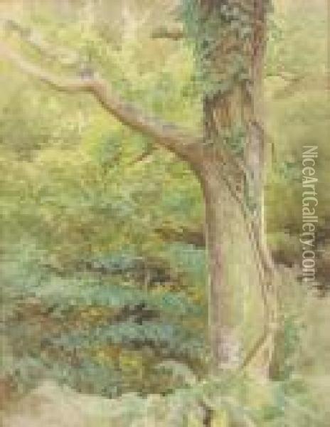 A Wooded Glade Oil Painting - Kate Greenaway