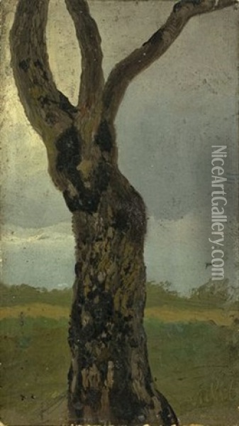 Tree Study Oil Painting - Christian Friedrich Gille