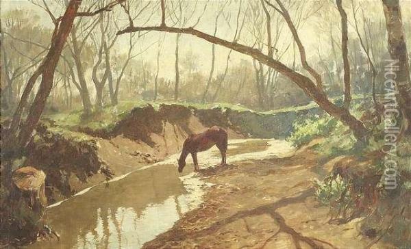 Horse At Awatering Place Oil Painting - Kunz Meyer-Waldeck