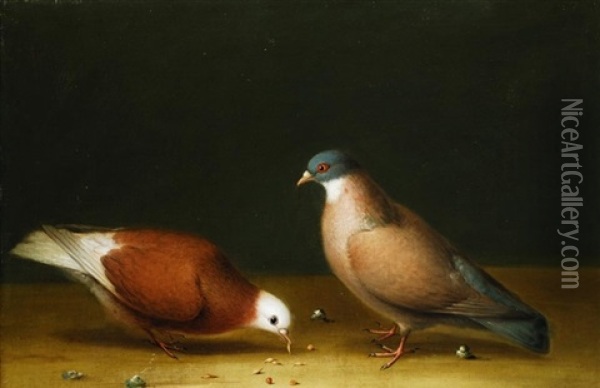 Zwei Tauben Oil Painting - Nicolai Peters Herm. Sohn