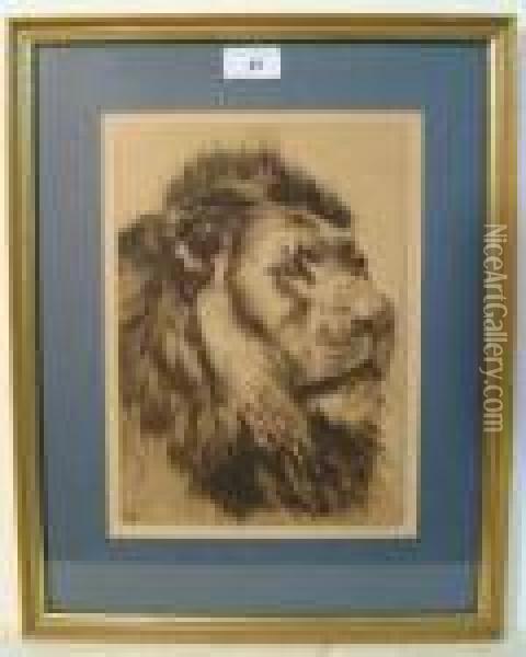 Head And Mane Of A Lion Oil Painting - Herbert Thomas Dicksee