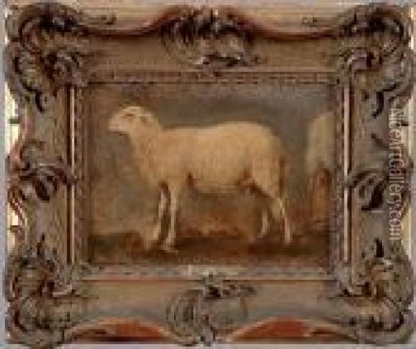 Etude De Mouton Oil Painting - Rosa Bonheur