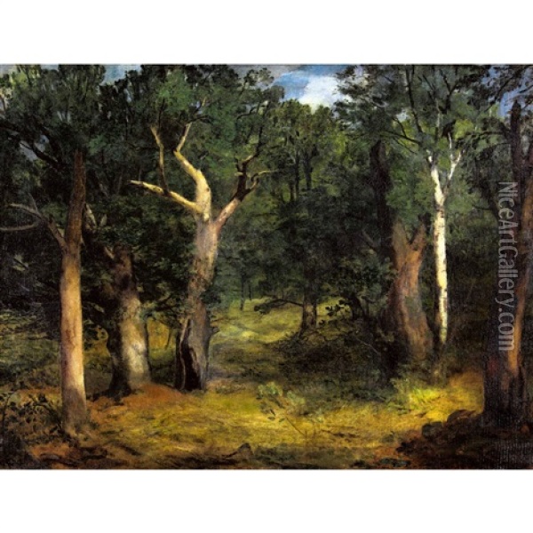 Waldlandschaft Oil Painting - Otto Froehlich