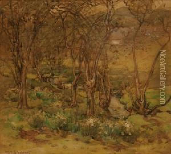 Graham Valley, Akaroa Oil Painting - Margaret Olrog Stoddart