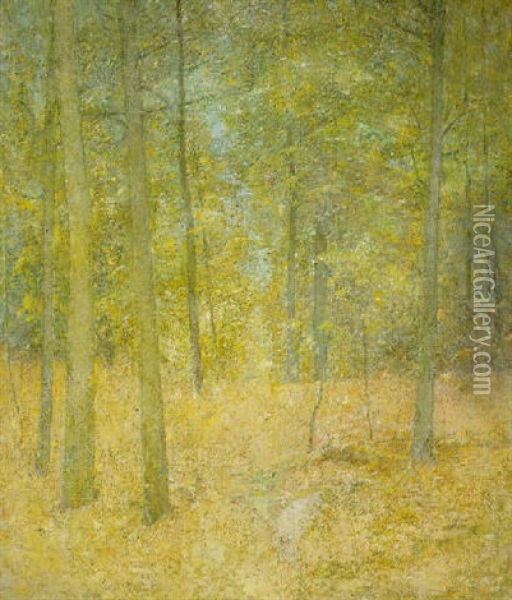 A Light In The Forest Oil Painting - Emil Carlsen