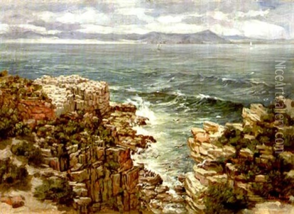 A View Of Walker Bay From Roman Rock, Hermanus Oil Painting - Pieter Hugo Naude